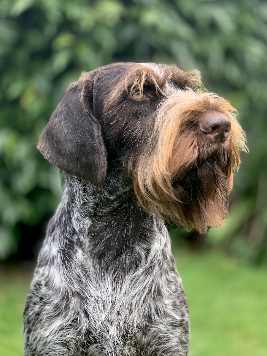George